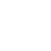 logo light